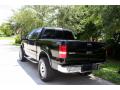 2004 F150 Lariat SuperCrew 4x4 #7