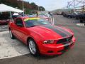 2010 Mustang V6 Premium Coupe #6
