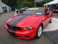 2010 Mustang V6 Premium Coupe #8