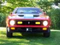 1971 Mustang Mach 1 #2