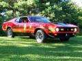 1971 Mustang Mach 1 #3