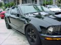 2009 Mustang GT Premium Coupe #2