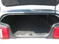 2010 Mustang V6 Coupe #16 2010 Mustang V6 Coupe #16