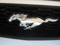 2010 Mustang V6 Coupe #22 2010 Mustang V6 Coupe #22