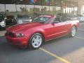 2010 Mustang V6 Convertible #10