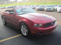 2010 Mustang V6 Convertible #11