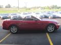 2010 Mustang V6 Convertible #12
