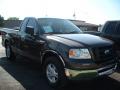 2006 Ford F150 XLT Regular Cab Dark Stone Metallic