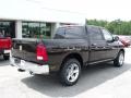 2011 Ram 1500 Big Horn Crew Cab #8