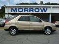 2006 Buick Rendezvous CX Cashmere Metallic