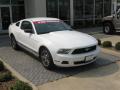 2010 Mustang V6 Premium Coupe #7