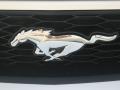 2010 Mustang V6 Premium Coupe #21
