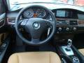 2010 5 Series 528i xDrive Sedan #12
