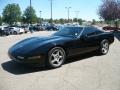 1993 Corvette Coupe #2
