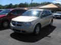 2010 Journey SE #1