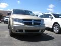 2010 Journey SE #2