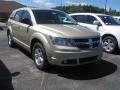 2010 Journey SE #3