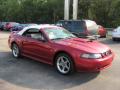2003 Mustang GT Convertible #10