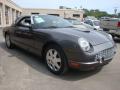 2003 Thunderbird Premium Roadster #7