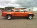 2000 Dakota Sport Crew Cab 4x4 #7