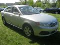 2010 Optima LX #14