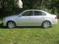 2010 Optima LX #15