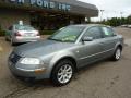 2004 Passat GLS Sedan #8