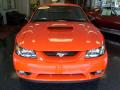 2001 Mustang GT Coupe #2