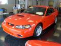 2001 Mustang GT Coupe #3