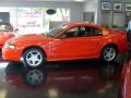 2001 Mustang GT Coupe #8