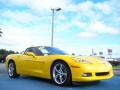 2008 Corvette Coupe #7