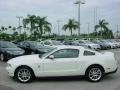 2010 Mustang V6 Premium Coupe #11