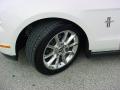2010 Mustang V6 Premium Coupe #25