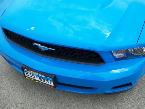 Grabber Blue Ford Mustang V6 Coupe.  Click to enlarge.