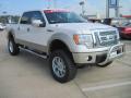 2010 F150 Lariat SuperCrew 4x4 #2
