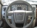 2010 F150 Lariat SuperCrew 4x4 #33