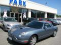 2005 Ford Thunderbird Premium Roadster Medium Steel Blue Metallic
