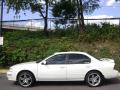 1999 Maxima GLE #3