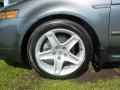 2005 TL 3.2 #8