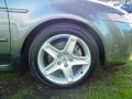 2005 TL 3.2 #11