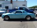 2002 Thunderbird Premium Roadster #8