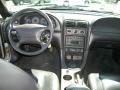 2002 Mustang GT Coupe #10