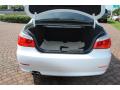 2008 5 Series 528i Sedan #11