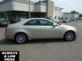 2008 CTS 4 AWD Sedan #8