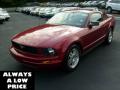 2007 Mustang V6 Premium Coupe #3