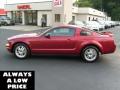 2007 Mustang V6 Premium Coupe #4