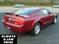 2007 Mustang V6 Premium Coupe #7