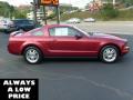 2007 Mustang V6 Premium Coupe #8