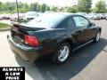 2000 Mustang GT Coupe #7