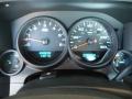 2010 Silverado 1500 Regular Cab #20